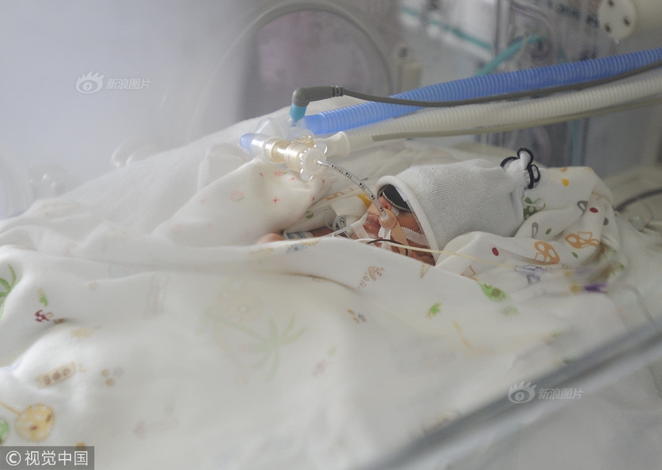 CPO概念震‘荡’反弹，剑桥科技涨停