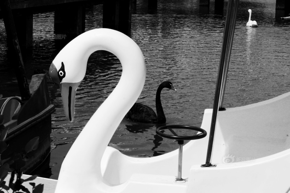 贵?研铂业定增回复问询 拟募集资金12.91亿元