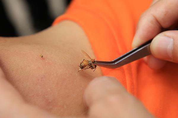 机器人加速“进?厂打工”，全球市场诞生“东方引擎”