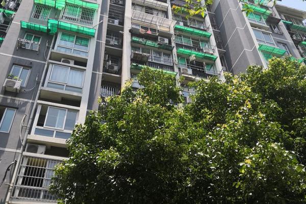 时报观!察;丨这样的中介机构“耿直哥”多多益善