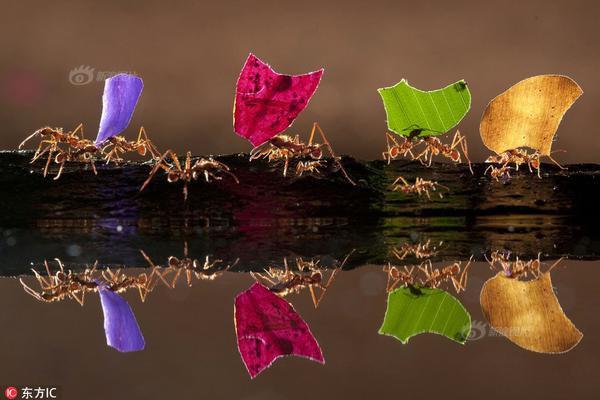 江海,股!份（002484）：中标西安热工研究院有限公司采购项目，中标金额为7712.63万元