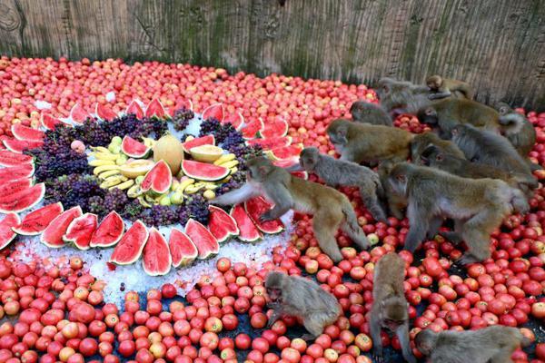 永,兴材料：:公司超宽温区超长寿命锂离子电池项目目前产能为0.2GWh/a