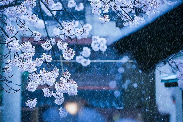 西安!商人胡绪峰再次实名举报西安市监局背后