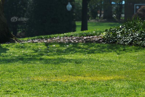 赛—象科技：东兴证券股份有限公司投资者于11月20日调研我司