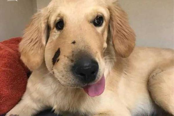 谷歌卷;土重来：你大爷还是你大爷