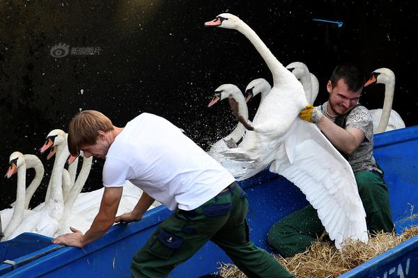 新;化股—份：目前不生产芳香胺类产品