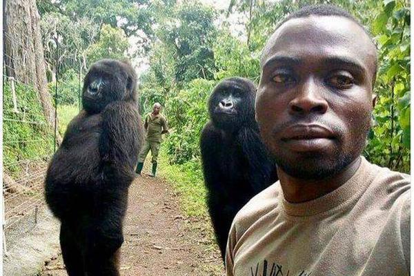 中,金联东科创REIT：3个基础设施项目期末平均出租率为95.98%