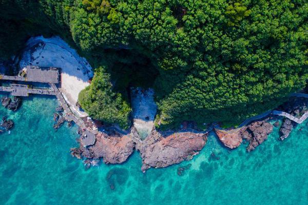 促进服务<出>口 压减负面清单 我国服务贸易跑出自主开放“加速度”