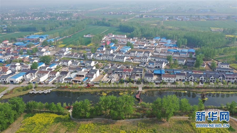 台:积电月度销售额增速放缓，引发人工智能可持续性争议