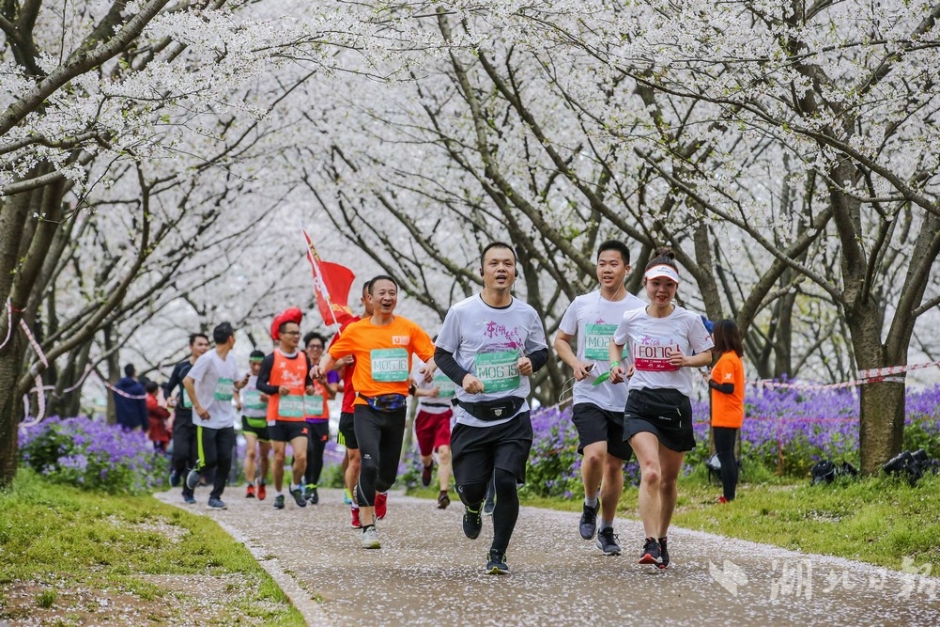 美债年底‘或’迎来走强？分析：与降息无关，而是“避险情绪回潮”