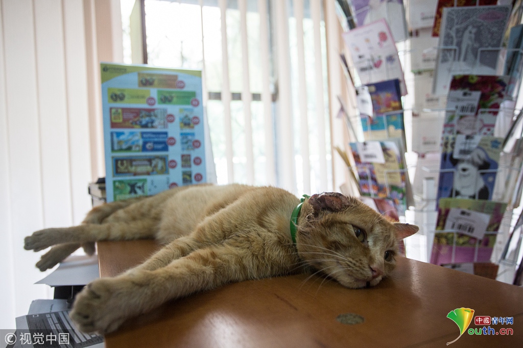 张为忠：希望银!行可以为科学家转化成企业家提供专,业团队支持