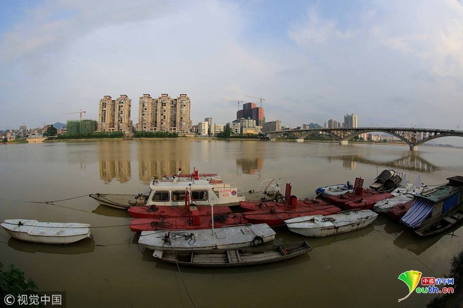 1<9>只创业板活跃股获主力资金净流入