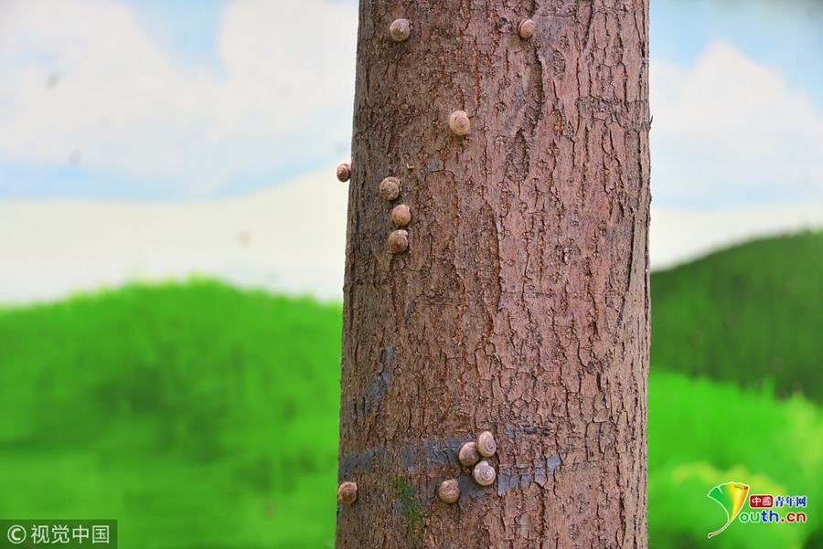 河南发布企业降本增效支持—措施 将建只租不售“工业保障房”