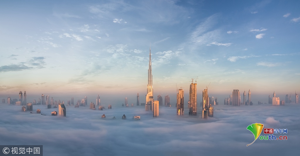 光大?期货：8月7<日>矿钢煤焦日报