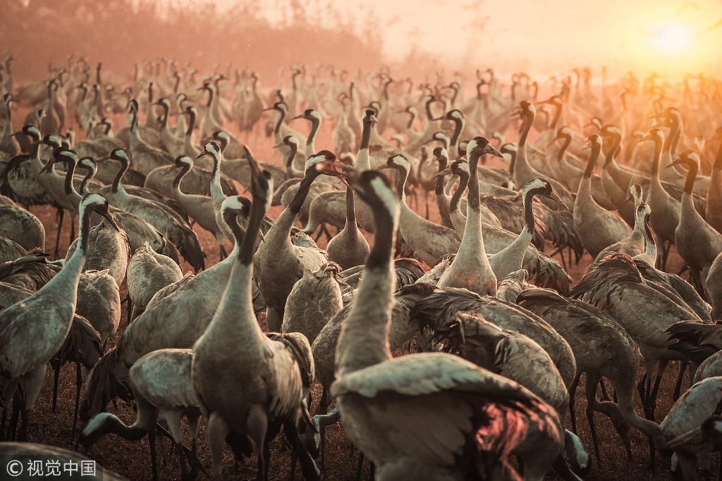 瑞鹄.模具：子公司安徽瑞祥工业有限公司自动化生产线可以满足飞行汽车的生产需要