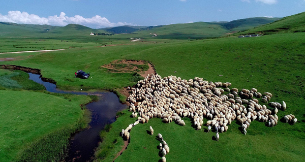 11月11日新股提;示：‘南’特科技申购 南网数字、恒坤新材中签号出炉