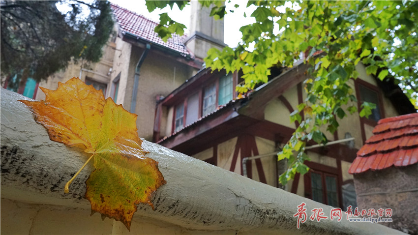 海鸥股份回购884万股  金额1亿元