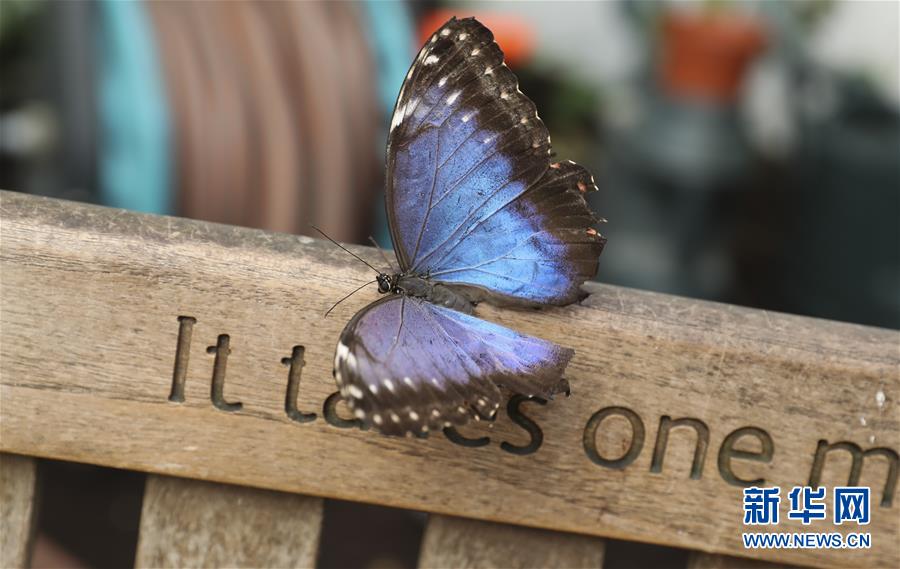 后;国补时代，家电行业的未来华帝已经提前“剧透”了