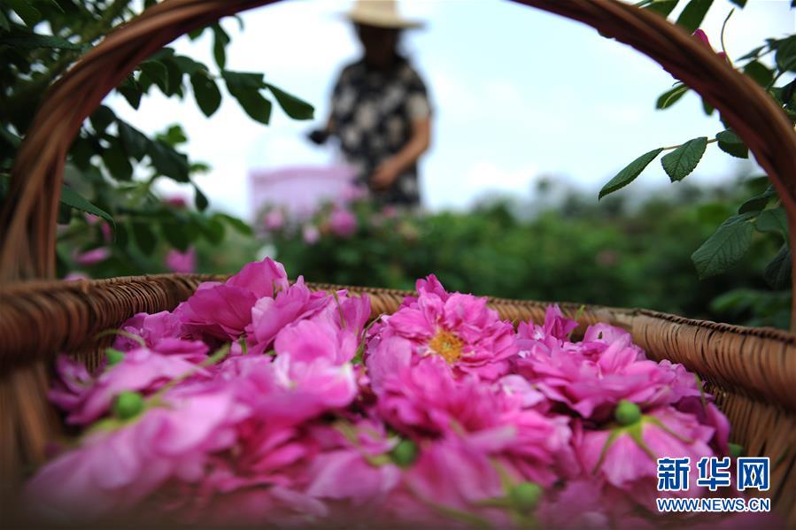 “天价离婚案—”再起:波澜！丽人丽妆实控人被要求过户1674.75万股给子女