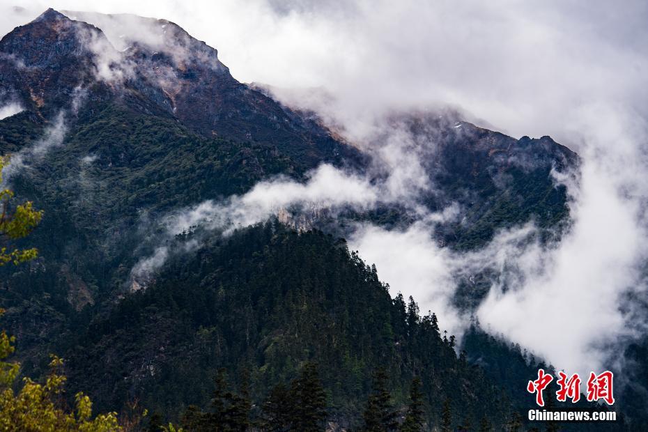 光大银行天津分,行‘：’理财“三适当”原则启示录 “量体裁衣”稳家财
