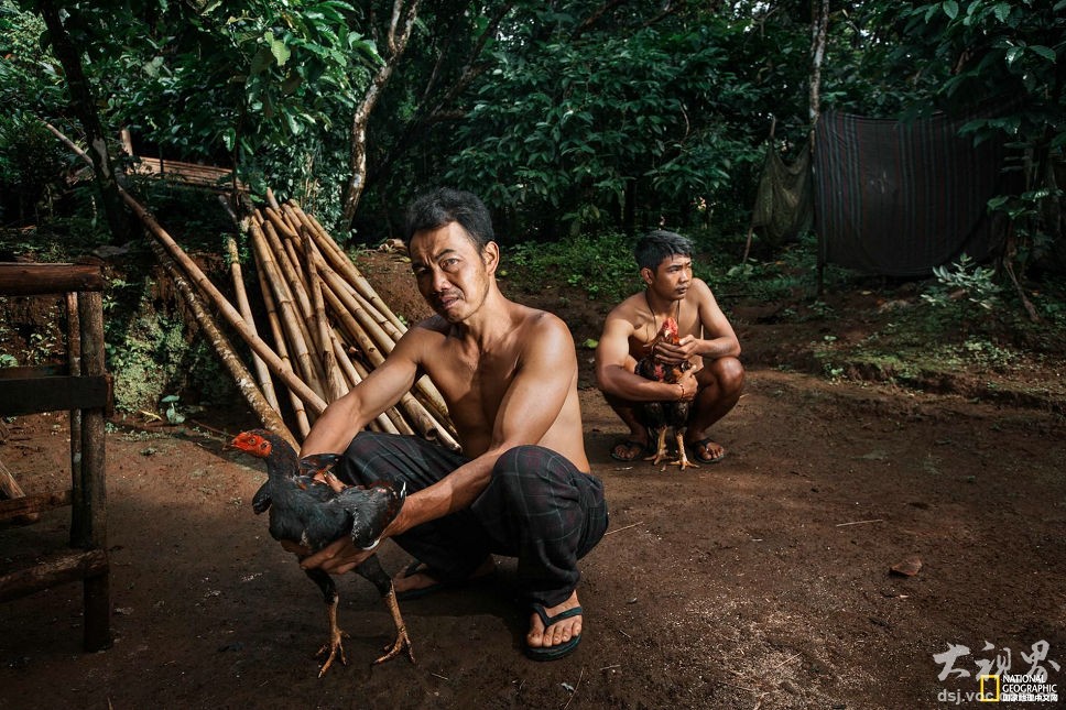 堪!比黄金价值线，稀土狂飙后的理性思考
