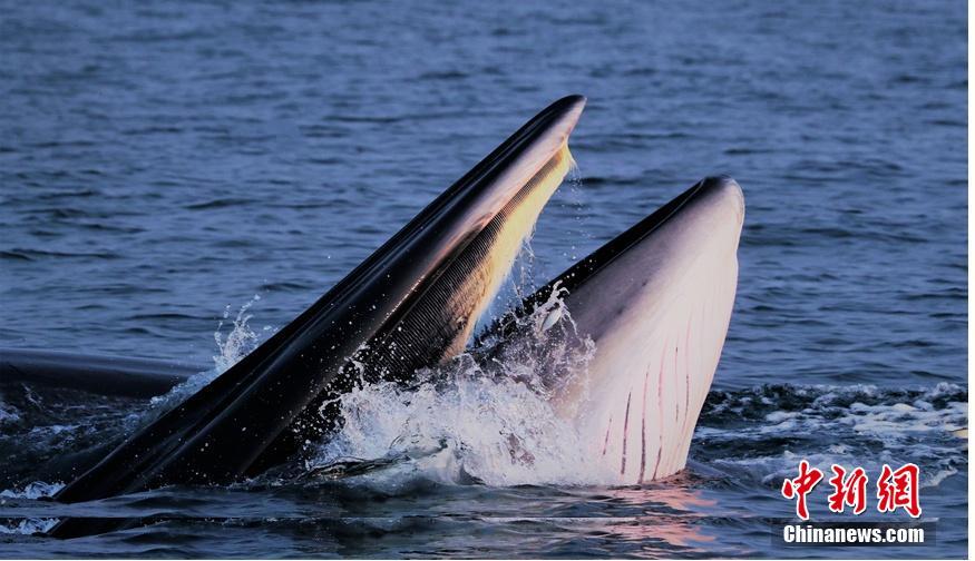 全文对.比美联储10月会议声明有何变化