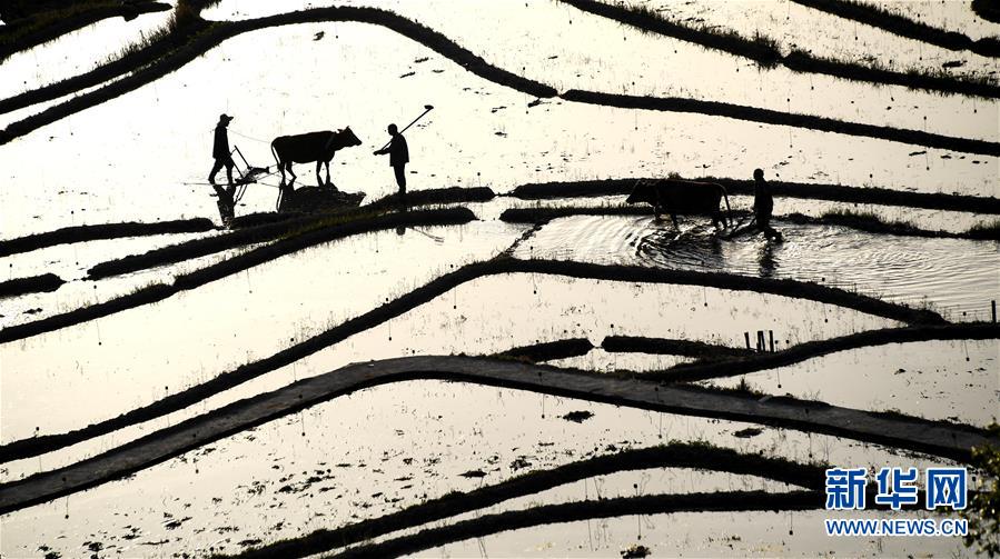 英国政<府>拟推出高风险预算案，寄望提振经济增长