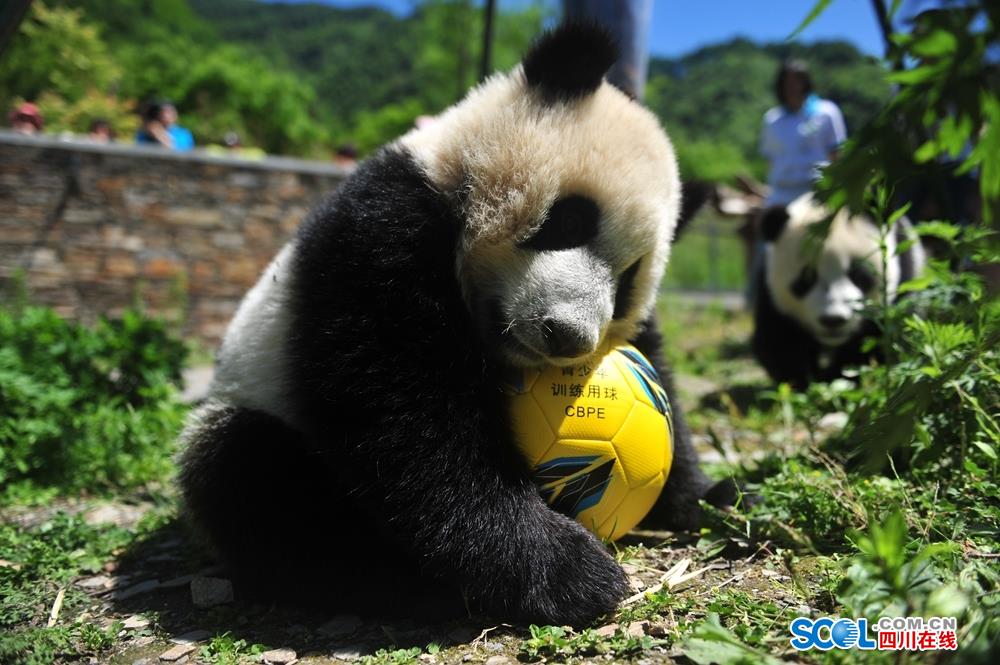 液冷新,突破.，高增长概念股曝光