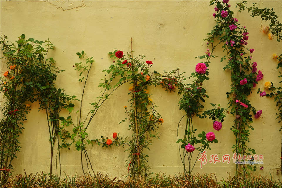 8:月22,日增减持汇总：长江电力增持 圣诺生物等8股减持（表）