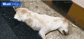 南,昌海.立荣膺 “国家卓越级智能工厂”，树立智能制造新标杆