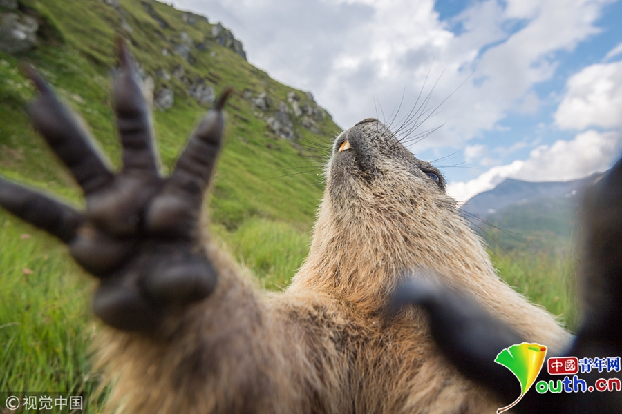 本周看点：美联储影响、就,业数据缺失<以>及繁忙的财报日程