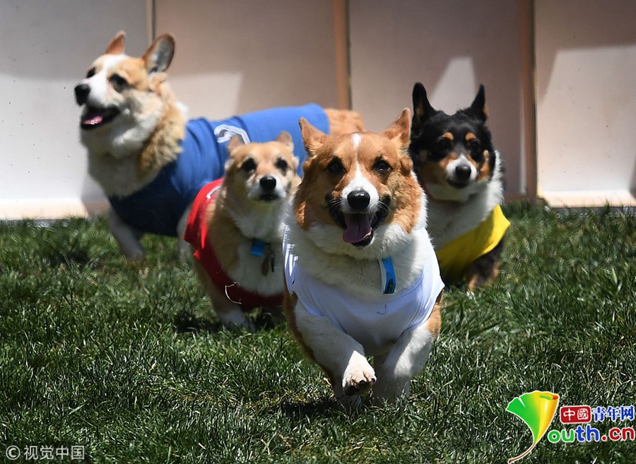 4..2<万>/㎡起！金融城007地块卷土重来，限高180米