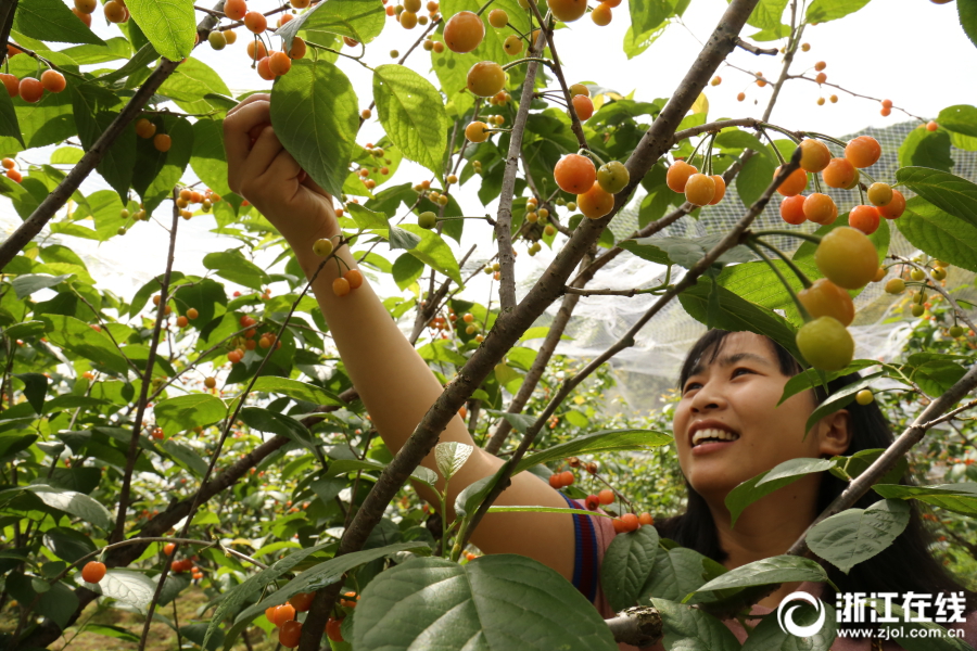 诺奖!得主痛批贝森特救助阿根廷计划：给“对冲基金哥们儿”的救命钱