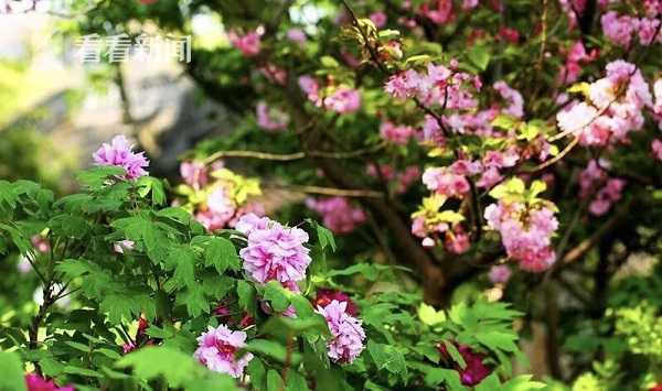 美的置业?、<招>商蛇口，核心高管大变动！