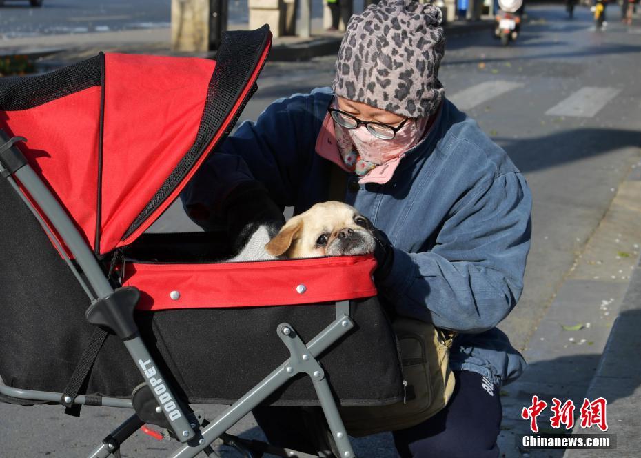 红利风,向标 | 红利资产强势护盘，新会计准则切换催生险资降波动需求