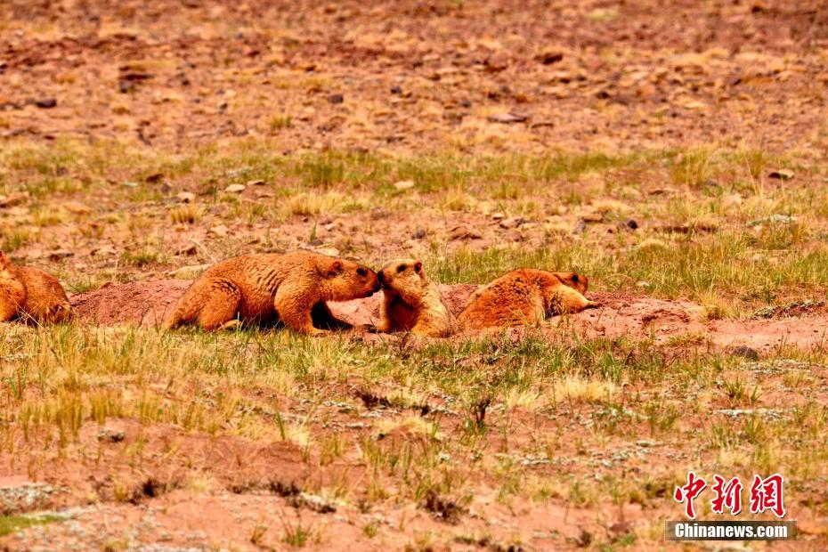 PACIF!IC LEGEND遭黄桂珊减持1000万股 每股作价0.26港元