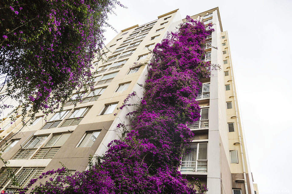 Ares Man—agement宣布以11亿美元收购Meade Pipeline