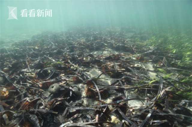 4日;超31亿资金逃离、董事长被留置引爆看空情绪 广大特材预期已然透支