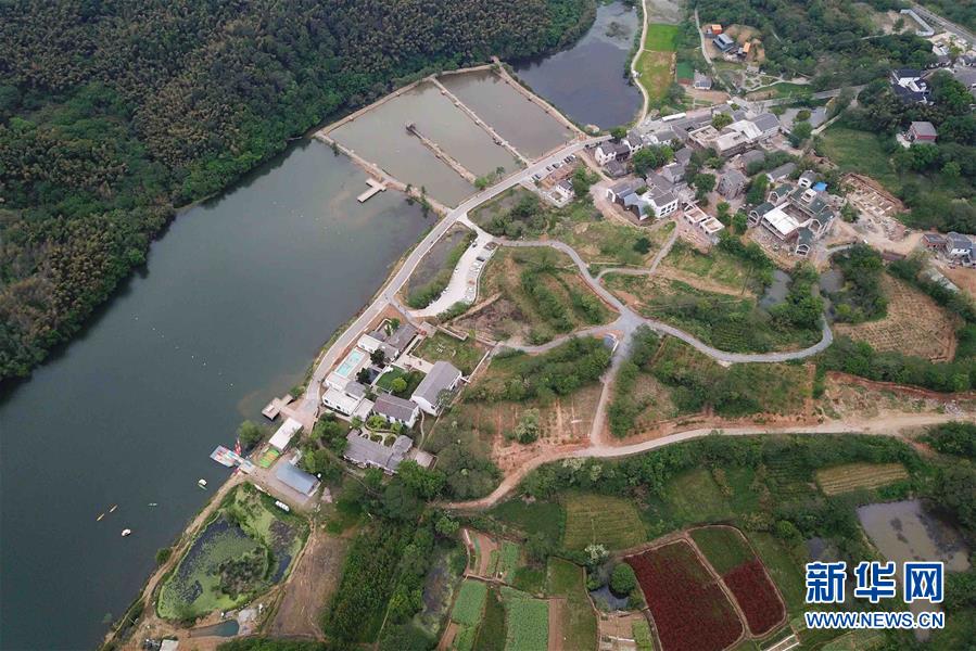 红棉股份第<三>季度扣非净利润2697万元