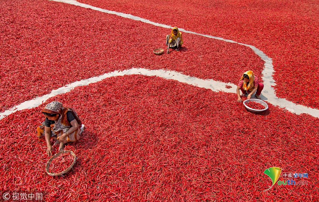 国信证券?董事长: 张纳沙：以改革创新赋能高质量发展