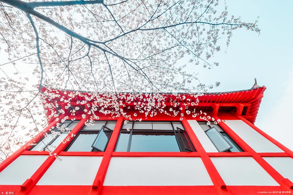 摩根.大通：上调哔哩哔哩H股目标价至210港元