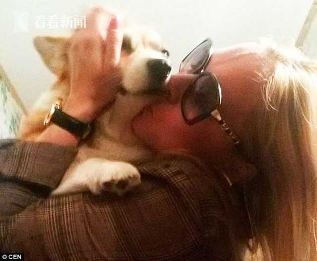 好盈科技IPO!状态变更为已问询