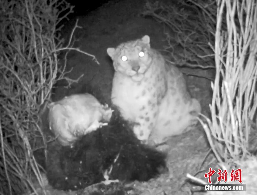 人—工智<能>主导2025年风险投资 创纪录吸金1927亿美元