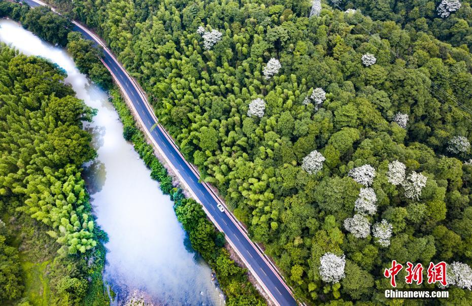 港—股科技资产吸引力升温！恒生科技ETF（513130）近两日获8.51亿元资金加仓