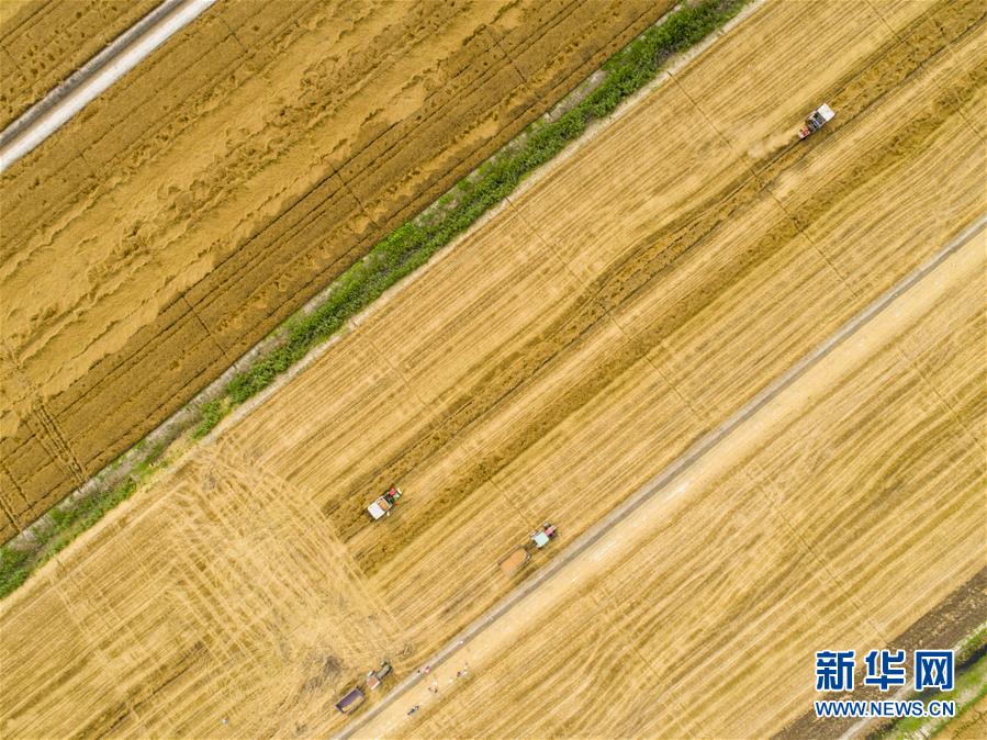 真<视>通：联合研发两相液冷高效散热服务器