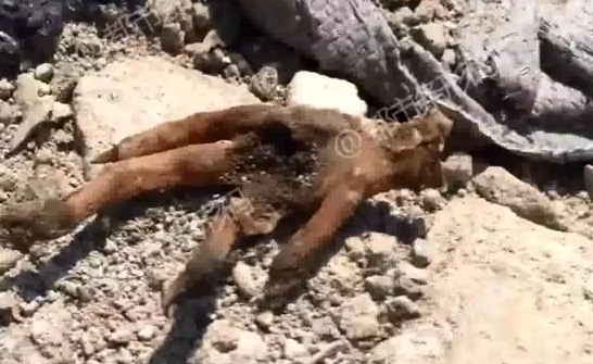 英伟达将在韩国部署2!6万枚G‘P’U，与三星、现代等一起建设人工智能工厂