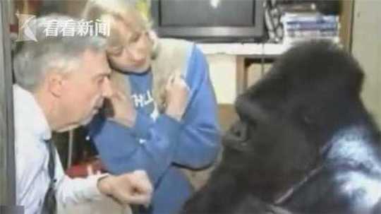 华兰股份：控股股!东拟增持 金额3000万元至6000万元