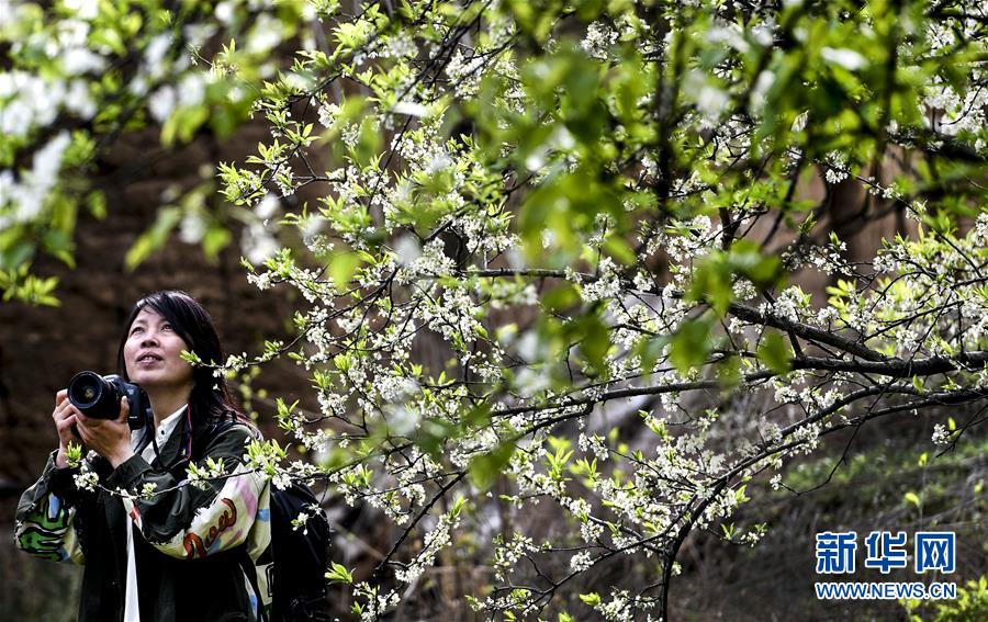 2025年保.险行业AI应用全景洞察报告