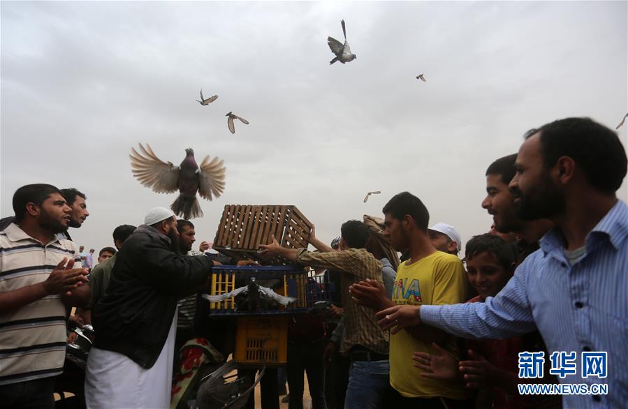 哪:吒汽车—创始人方运舟、前 CEO 张勇等被执行