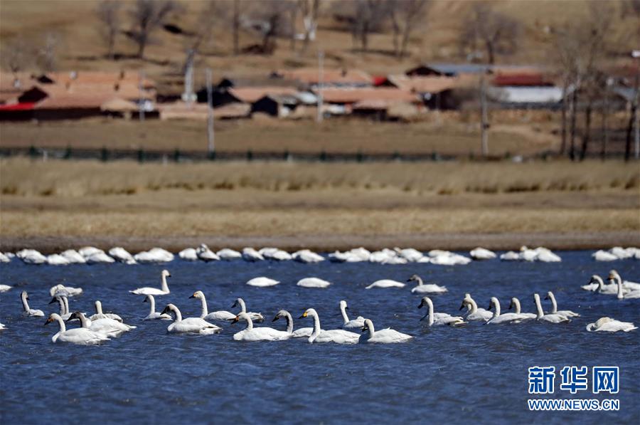 工伤认定新规明确—“模糊地带”<判>断依据——为参保职工筑牢权益保障网